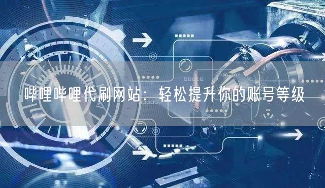 哔哩哔哩代刷网站：轻松提升你的账号等级