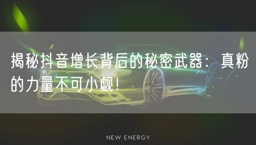 揭秘抖音增长背后的秘密武器:真粉的力量不可小觑!