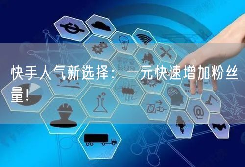 快手人气新选择：一元快速增加粉丝量！